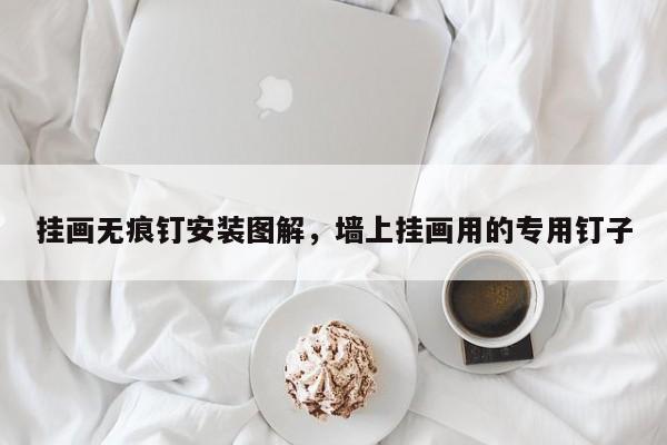 挂画无痕钉安装图解,墙上挂画用的专用钉子